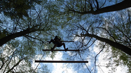 Baumfaellungen Volker Westphal Baumfaellungen Volker Westphal