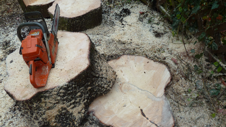 Volker Westphal Volker Westphal